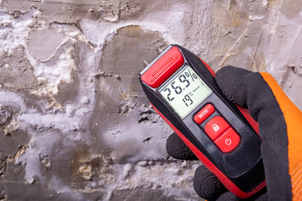 Best Localized Mold Remediation (e.g., coastal areas, humid climates) in Legend Lake, WI