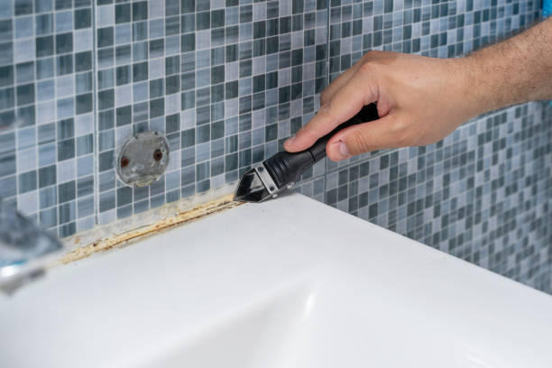 Best Residential Mold Remediation in Legend Lake, WI