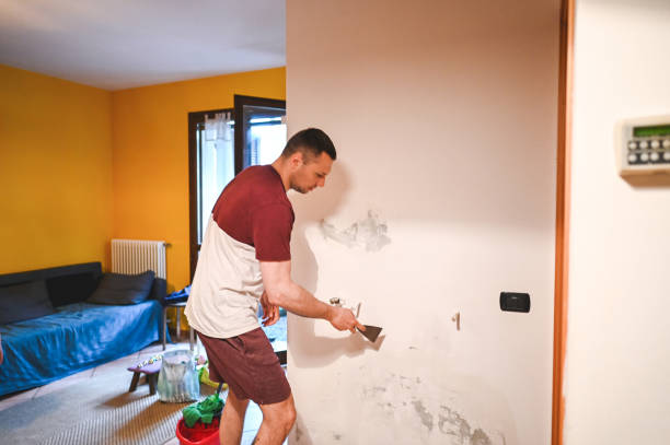 Best Insurance-Related Mold Remediation in Legend Lake, WI